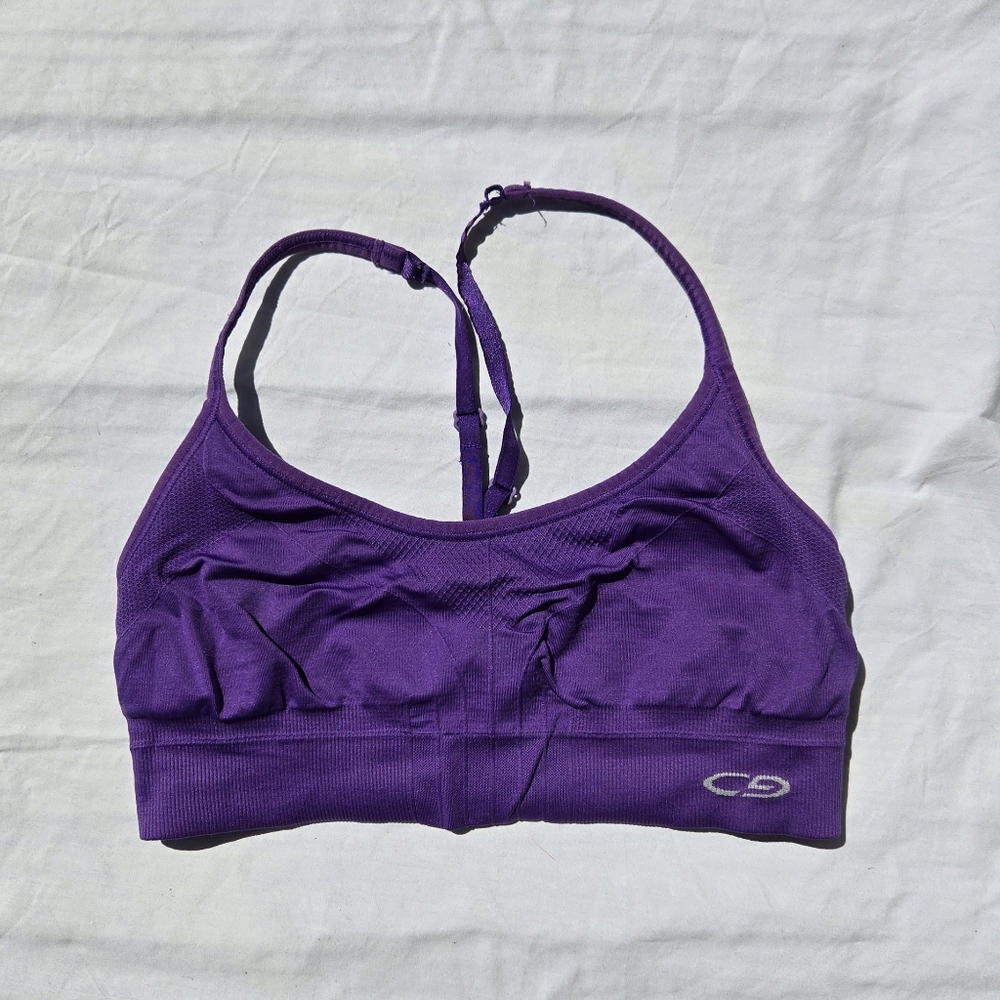 Champion purple sports bra